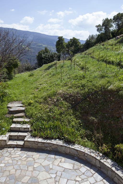 Aori Hillside Villa Kántanos Extérieur photo