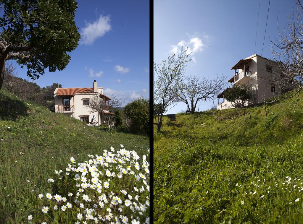 Aori Hillside Villa Kántanos Extérieur photo