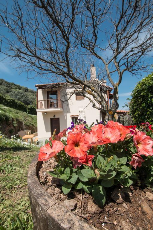 Aori Hillside Villa Kántanos Extérieur photo